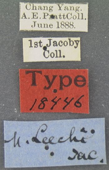 Media type: image; Entomology 18446   Aspect: labels